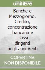 Banche e Mezzogiorno. Credito, concentrazione bancaria e classi dirigenti negli anni Venti libro di Comei Marina