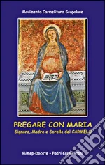 Movimento carmelitano dello scapolare (cur.)