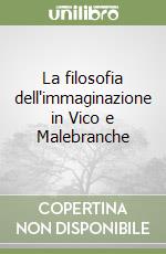 Fabiani Paolo
