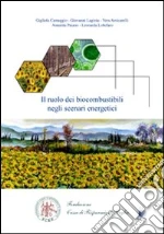 Camaggio Gigliola; Lagioia Giovanni; Amicarelli Vera; Paiano A. (cur.); Lobefaro L. (cur.)