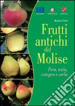 Tanno Michele