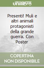 Simeoni Laura