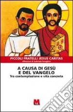 Faraghini Gabriele