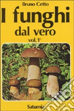 Cetto Bruno