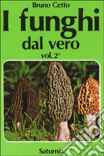 Cetto Bruno