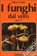 Cetto Bruno