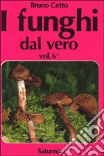 Cetto Bruno