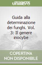 Stangl Johann; Cetto B. (cur.)