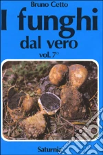 Cetto Bruno