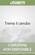 Prestipino Giarritta Nino