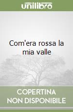 Rocco Giuseppe