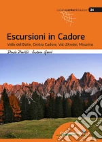 Perilli Denis; Greci Andrea; Cappellari F. (cur.)