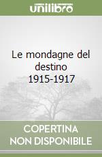 Pellegrinon Bepi