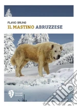 Bruno Flavio