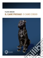 Bruno Flavio