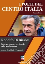 Vincenzi B. (cur.)