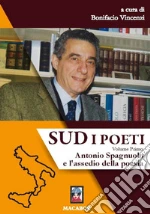 Vincenzi B. (cur.)