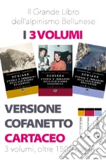 Sani Gianpaolo; Sovilla Luca; Vascellari F. (cur.)