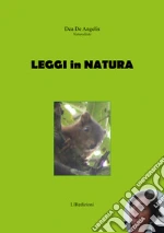 De Angelis Dea