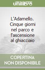 Innocenti Lucia