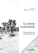 Paolino M. (cur.)