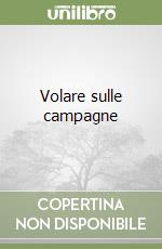Dolci Silvio