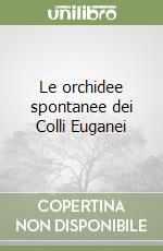 Paolucci Paolo; Rasi Caldogno Stefano