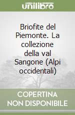 Pistarino Annalaura; Miserere Luca; Schumacker Ren