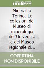 Costa Emanuele; Gallo Lorenzo M.