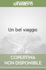 Chiara Piero; Roncoroni F. (cur.)