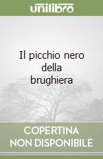 Meroni Paolo