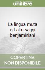 Moroncini Bruno