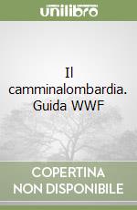 non specificato