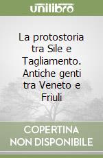 Malnati Luigi; Croce Da Villa Pierangela; Di Filippo Balestrazzi Elena
