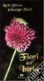 Dilena Loris; Turzi Giuseppe; Fumi F. (cur.)
