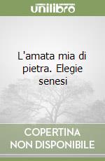 Pecchioli Arrigo; Oliveto L. (cur.)