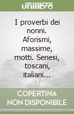 Ferrini Marino