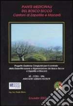 Giudici Cinzia