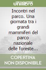 Franceschi Marco
