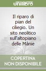 Del Lucchese A. (cur.)