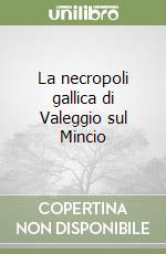 Salzani Luciano; Biondani Federico; Solinas Patrizia