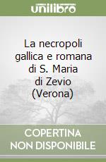 Salzani Luciano; Biondani Federico; Solinas Patrizia