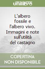 Cattaneo Marino; Groh Prisca