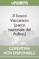 Niola Bruno