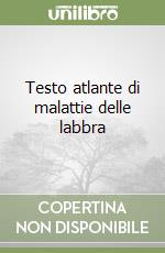 Lo Scocco Giovanni; Di Lernia Vito