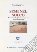Pizzo Serafino; Terranova M. (cur.)