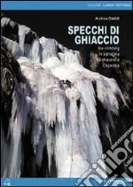 Gaddi Andrea
