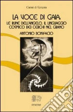 Bonifacio Antonio; Viparelli C. (cur.)