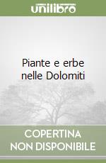 Vernaccini Silvia