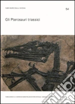 Dalla Vecchia Fabio Marco